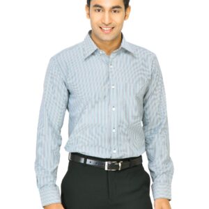 Mark Taylor Men Blue Striped Shirt