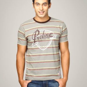 Proline Men Grey Striped T-shirt