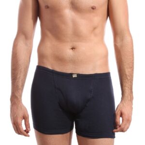 Hanes Men Navy Blue Boxer Brief