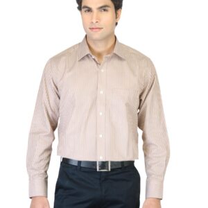 Peter England Men Brown Striped Shirt