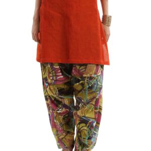 Shree Women Multi Colored Patiala