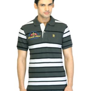Arrow Sports Men Stripes Grey T-Shirt