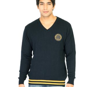 Indigo Nation Men Solid Navy Blue Sweaters