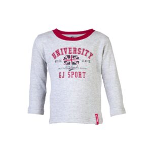 Gini and Jony Kids Boys Printed Grey Sweatshirts