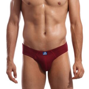 Facit Men Trophy BKN Maroon Briefs