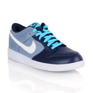 Nike Men Dunk Low Blue Shoes