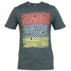 Nike Men Printed Grey Tshirts