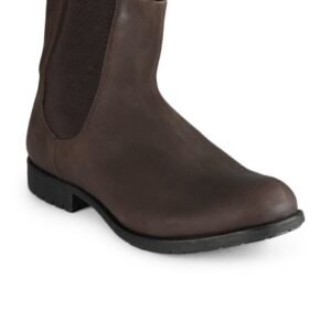 Ganuchi Men Brown Shoes